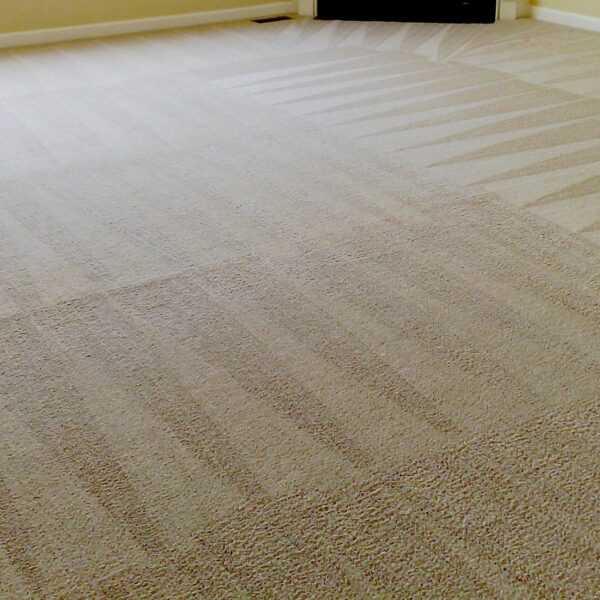 Carpet Cleaning Greenville, SC Days Carpet Care (864) 2619325