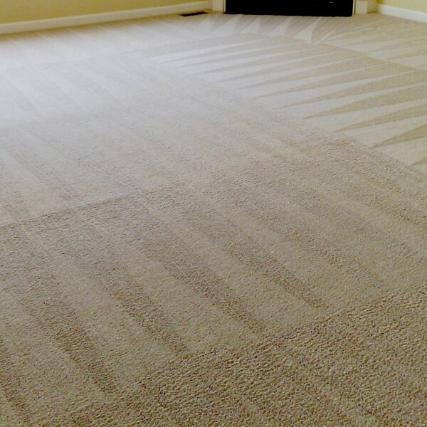 carpet cleaning Anderson SC